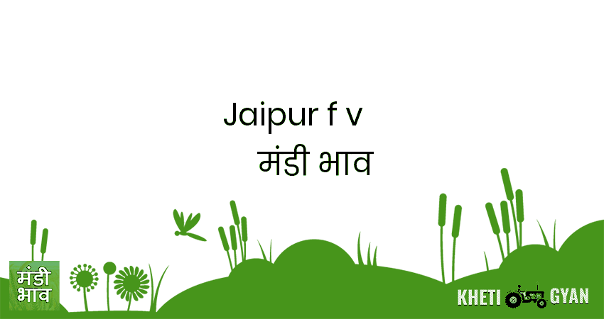 Jaipur(F&V) मंडी भाव की ताज़ा तस्वीर